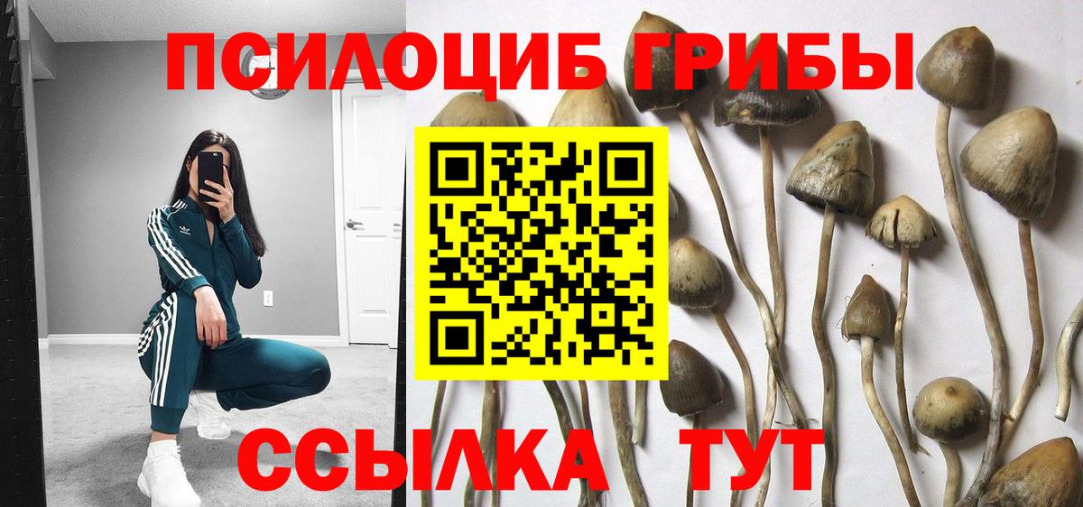 Галлюциногенные грибы Psilocybe  Вход с VPN  даркнет сайт  Краснодар 
